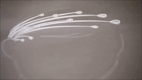 pg电子官方网站夏琳王妃14年后再戴婚礼